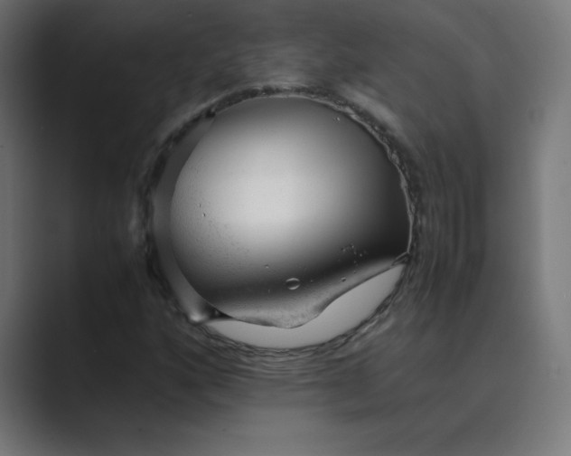 X0000089451160200706291438