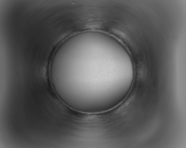 X0000089451162200706291438