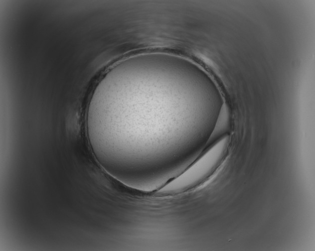 X0000089451163200706291438
