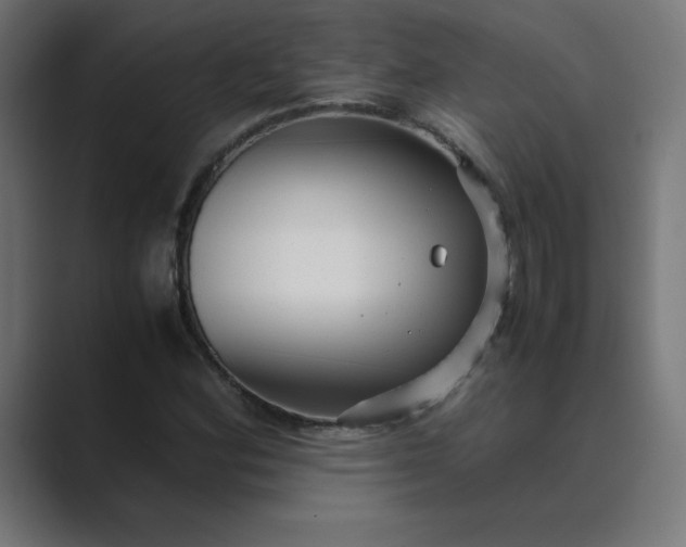 X0000089451164200706291438