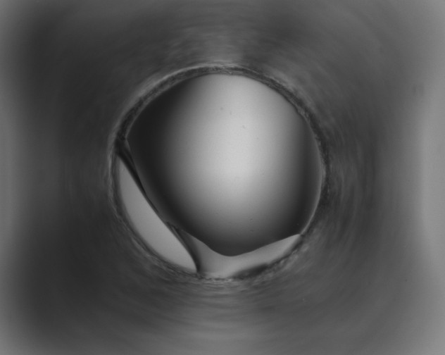X0000089451168200706291438