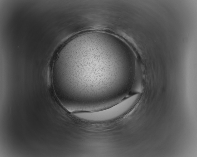 X0000089451171200706291438