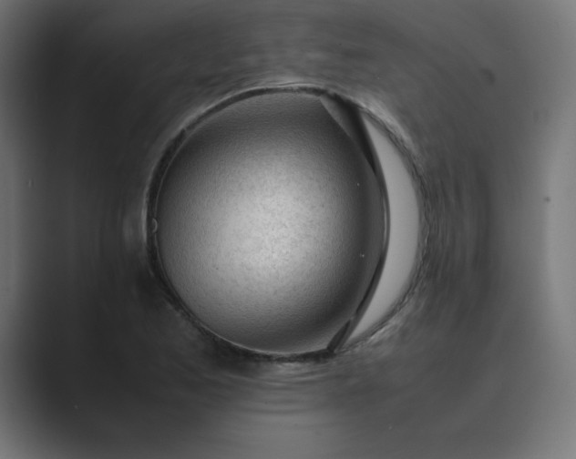 X0000089451173200706291438