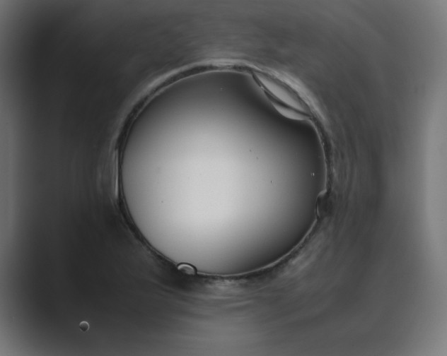 X0000089451175200706291438