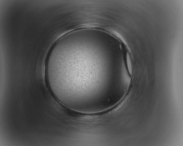 X0000089451179200706291438