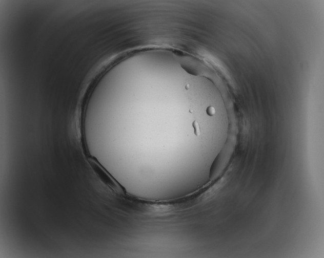 X0000089451180200706291438