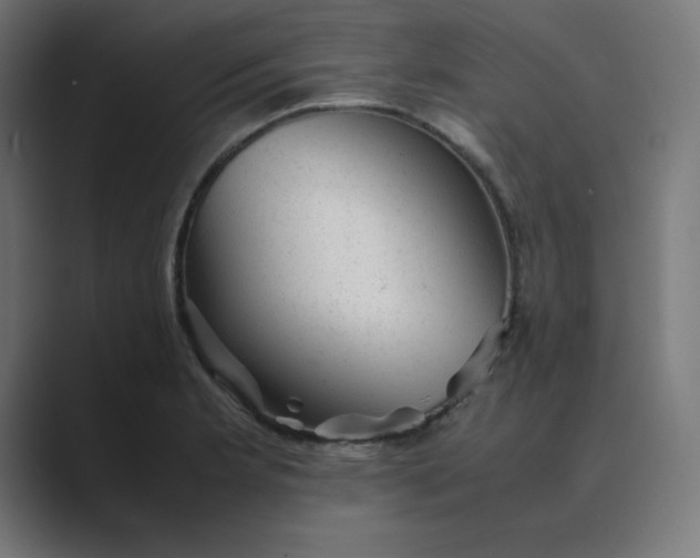 X0000089451181200706291438