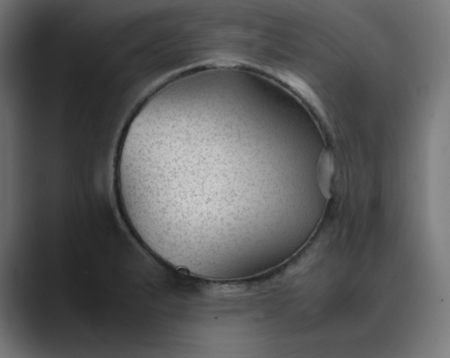 X0000089451183200706291438