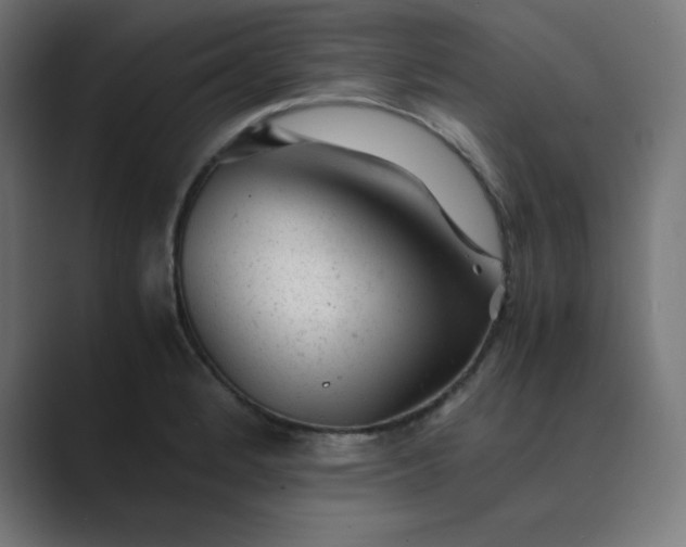 X0000089451184200706291438