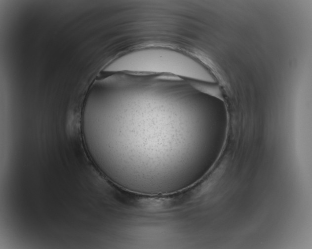 X0000089451185200706291438