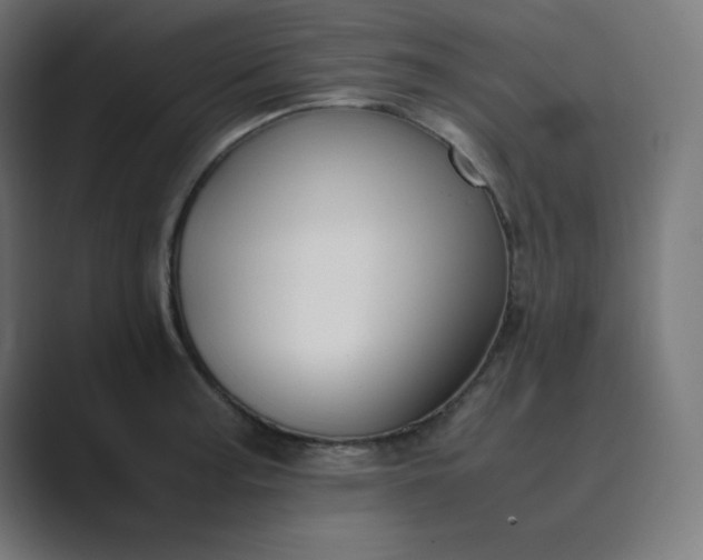 X0000089451187200706291438