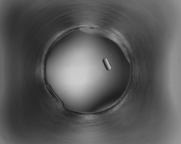 X0000089451188200706291438