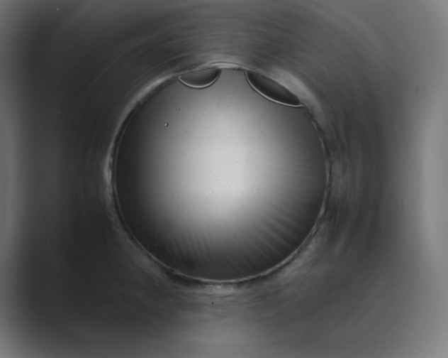 X0000089451190200706291437
