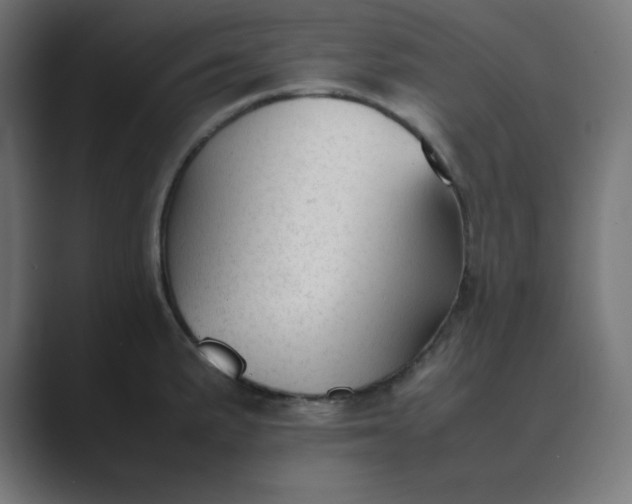 X0000089451191200706291437