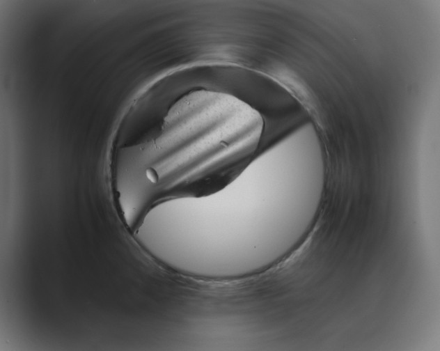 X0000089451192200706291437