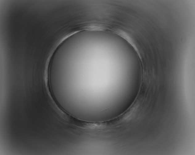 X0000089451195200706291437