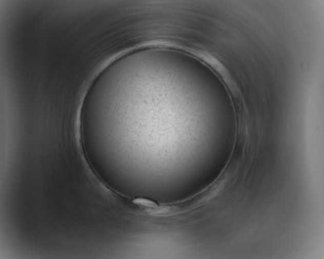 X0000089451199200706291437