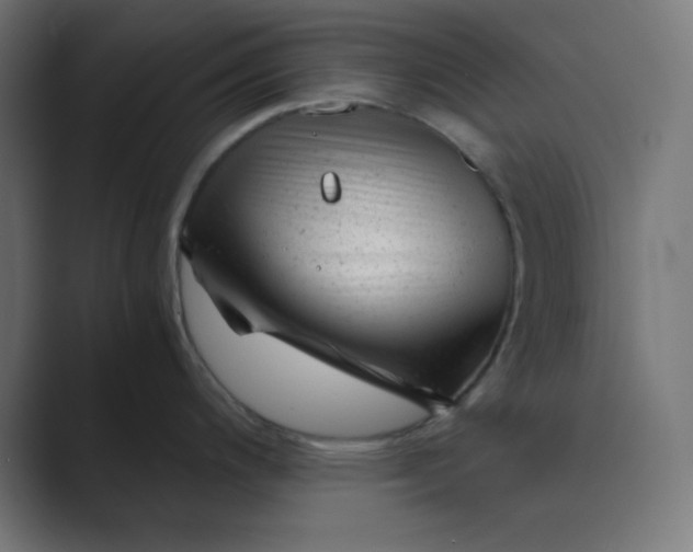 X0000089451200200706291437