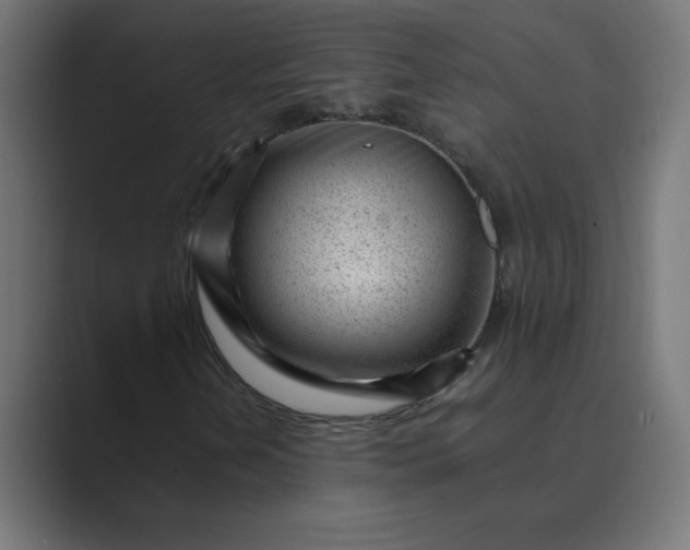 X0000089451202200706291437