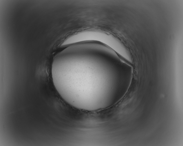 X0000089451206200706291437