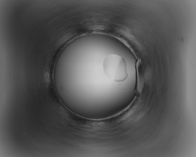 X0000089451209200706291437