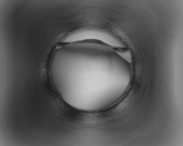 X0000089451210200706291437