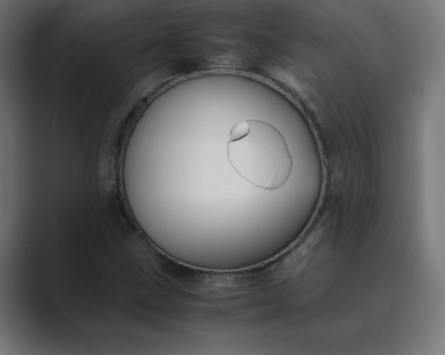 X0000089451211200706291437