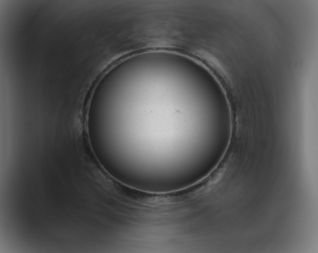 X0000089451212200706291437
