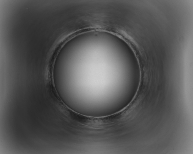 X0000089451215200706291437