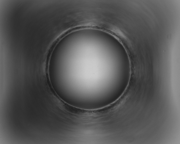 X0000089451216200706291437