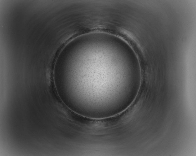 X0000089451217200706291437