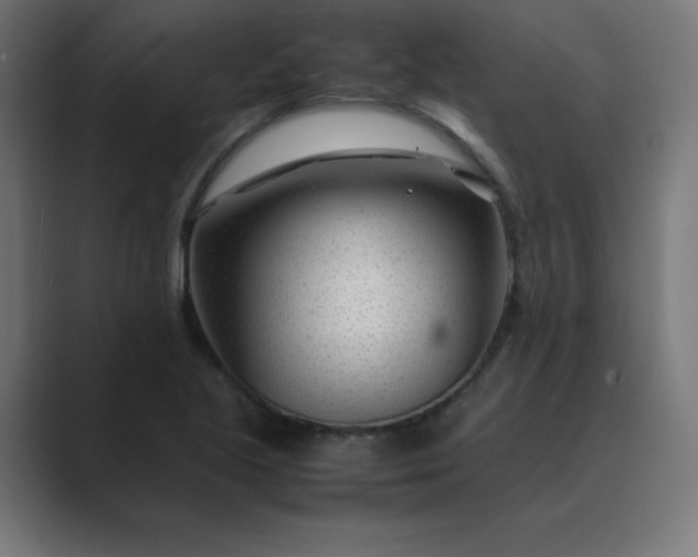 X0000089451221200706291437