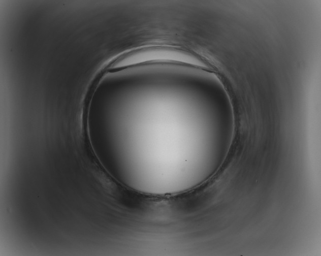 X0000089451222200706291437