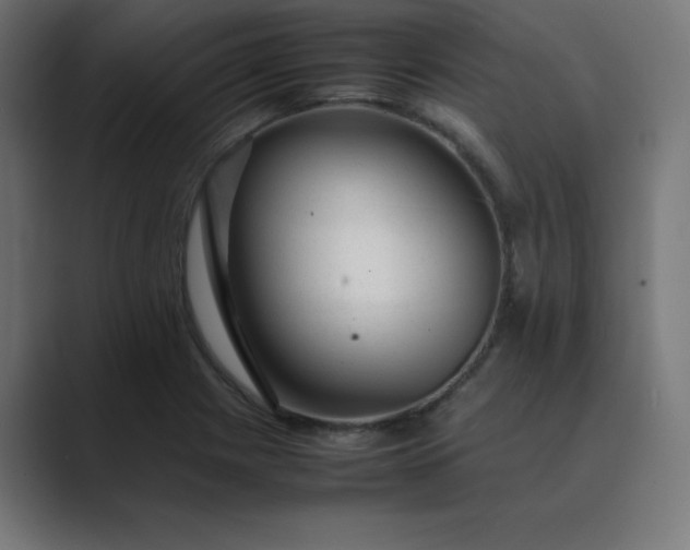 X0000089451225200706291437