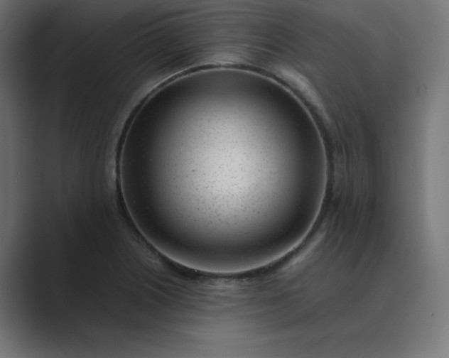 X0000089451226200706291437