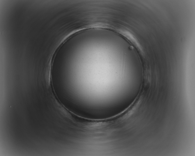 X0000089451228200706291437