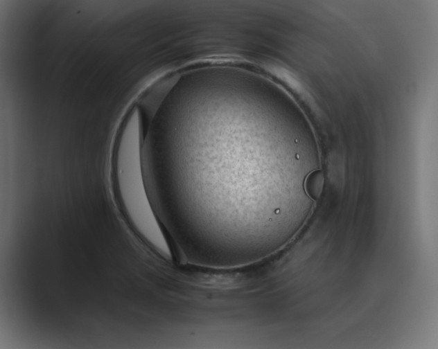 X0000089451229200706291437