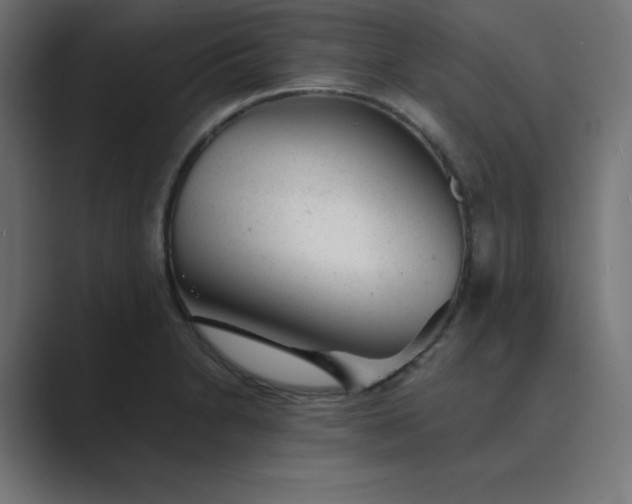X0000089451230200706291437
