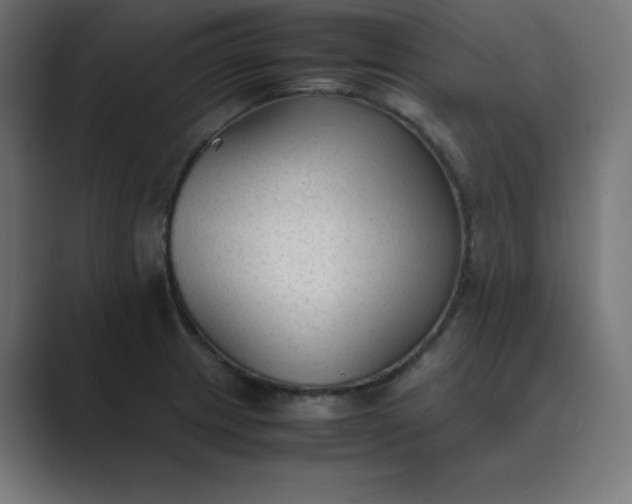 X0000089451233200706291437