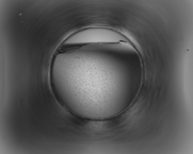 X0000089451237200706291437