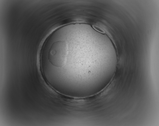 X0000089451243200706291437