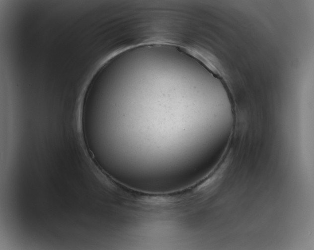 X0000089451246200706291437