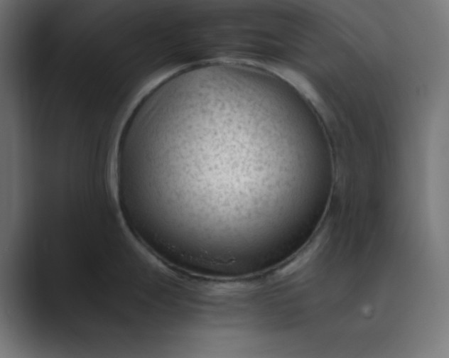 X0000089451247200706291437