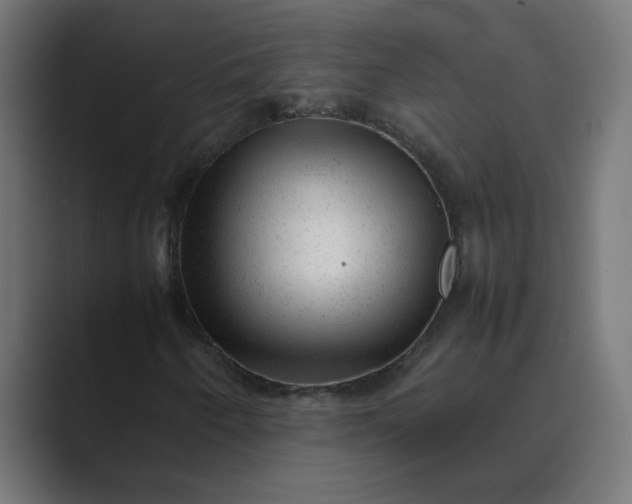 X0000089451250200706291437