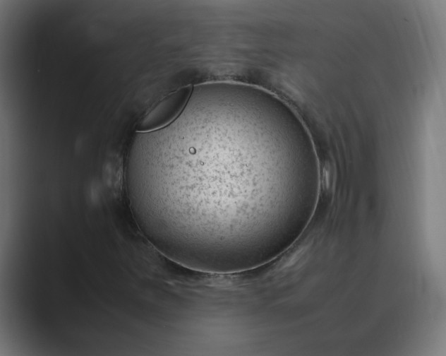 X0000089451251200706291437