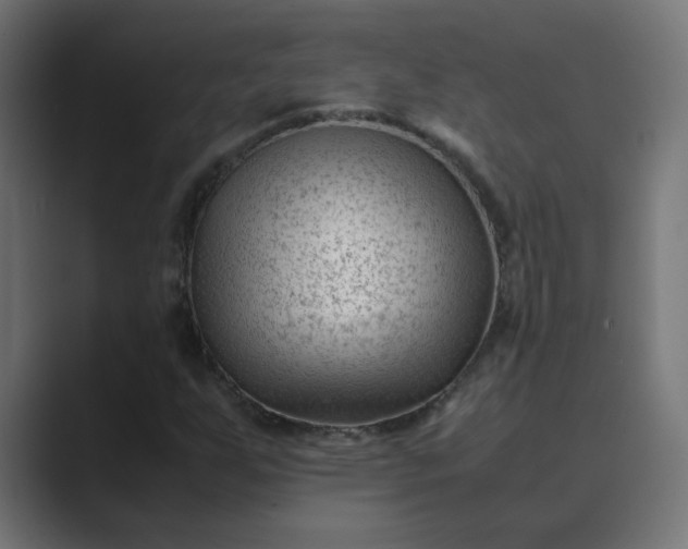 X0000089451255200706291437