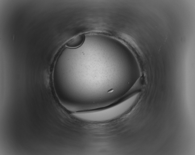 X0000089451260200706291437