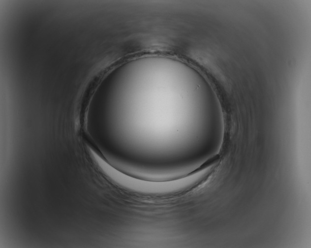 X0000089451261200706291437