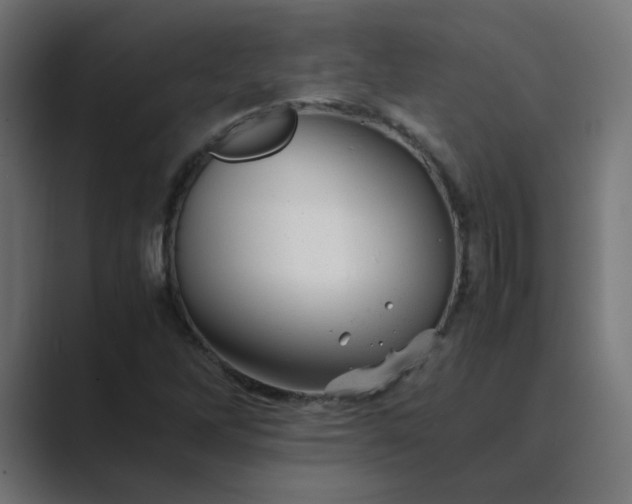 X0000089451262200706291437
