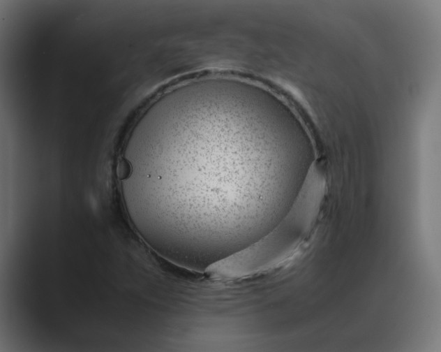 X0000089451263200706291437